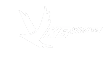 Downloads – VKBSIM US